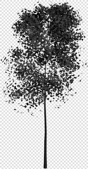 Árbol 3ds Max Bloques   Plane tree Family  HD Png DownloadTransparent PNG