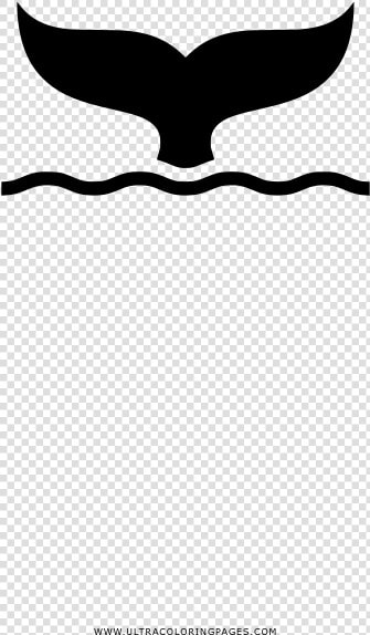 Whale Tail Coloring Page   Golden Eagle  HD Png DownloadTransparent PNG