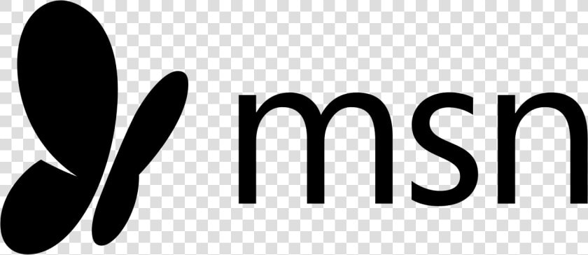 Msn Logo Png  Transparent PngTransparent PNG