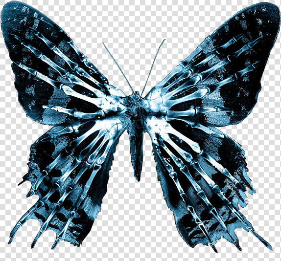 Fringe Png  Transparent PngTransparent PNG