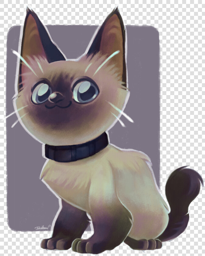 Siamese Cat  HD Png DownloadTransparent PNG