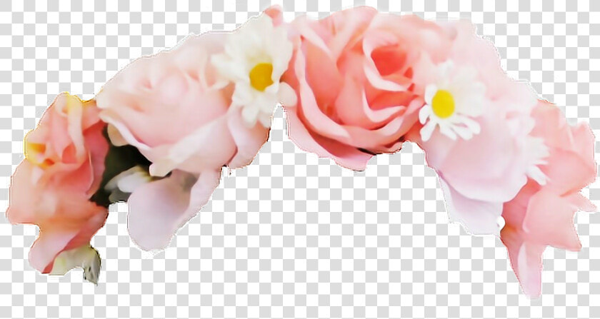 Rose Clipart Aesthetic   Flower Crown Png  Transparent PngTransparent PNG
