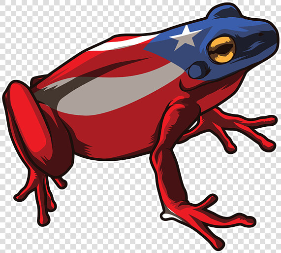 Coqui Puerto Rico Flag  HD Png DownloadTransparent PNG