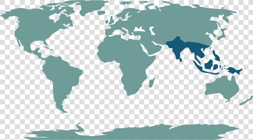 Transparent Asia Png   Cape Town On The World Map  Png DownloadTransparent PNG