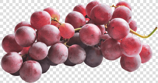 Uva Con Semi Red Globe   Seedless Fruit  HD Png DownloadTransparent PNG