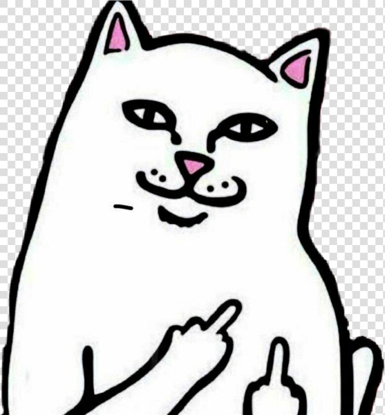 Cat Clipart Ripndip   Funny Cat Transparent Backgrounds  HD Png DownloadTransparent PNG