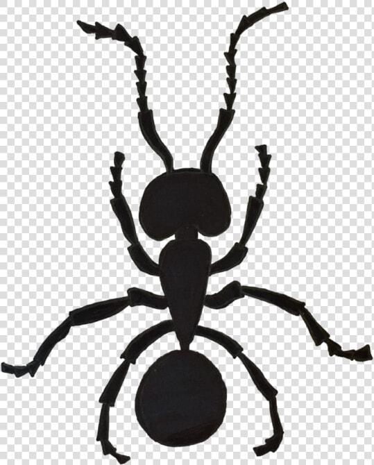 Illustration Of An Argentine Ant By Tikloh Bruno basaing 2c   Silhouette  HD Png DownloadTransparent PNG