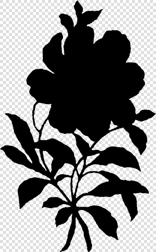 Flowering Plant Plant Stem Leaf Silhouette   Silhouette  HD Png DownloadTransparent PNG