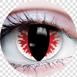 Devil Eyes Png   Sunrise Ash Contact Lens  Transparent Png