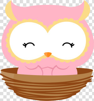 Owl Png  Bird Clipart  Cute Owl  Exibir  Hello Kitty    Baby Cute Owl Cartoon Png  Transparent Png