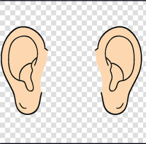 Ear Panda Free Images Ears Clipart Transparent Png   Pairs Of Ears Clipart  Png Download