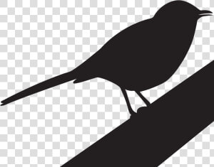 Thrushes   Kill A Mockingbird Clipart  HD Png Download