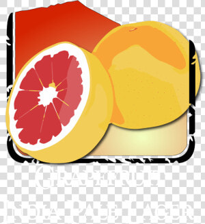 Grapefruit Ipl 45 Ibu 7   Pomelo  HD Png Download