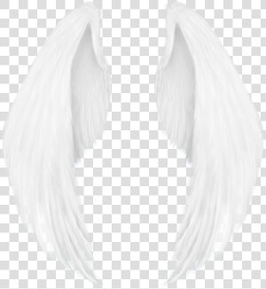 Imagenes Png De Alas  Transparent Png