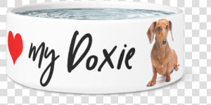 Large Dog Bowl  Love My Doxie Designer Dog Bowls   Dachshund  HD Png Download