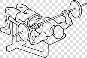 Decline Barbell Bench Press   Decline Bench Press  HD Png Download