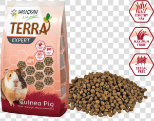 Vadigran Terra Expert Guinea Pig  HD Png Download