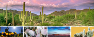 Tucson  HD Png Download
