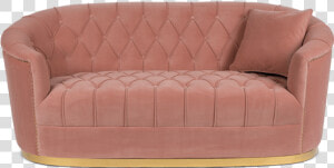 Bold Monkey Too Pretty To Sit On Sofa  HD Png Download