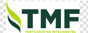 Tmf   Tree  HD Png Download
