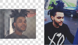 Picture   Weeknd Dreads  HD Png Download