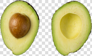 The New Stem Cell Multiplication Method Could Double   Avocado  HD Png Download