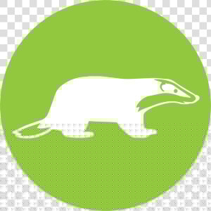 Neo Environmental Ltd   Png Download   Java Spring Logo  Transparent Png