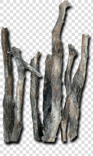 Logs Roots Bottom Rocks   Driftwood  HD Png Download
