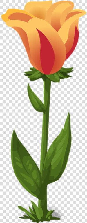 Bunga Png  Transparent Png