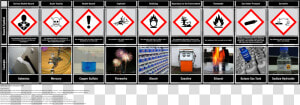 Health Hazard Symbols With Examples  HD Png Download