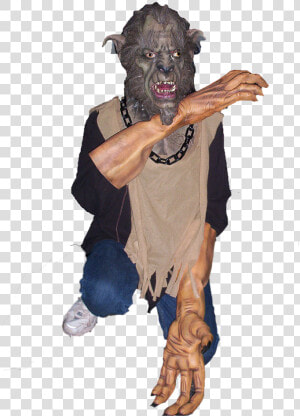 Boar  HD Png Download