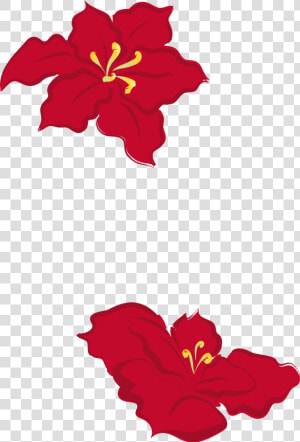 Collection Of Free Poinsettia Drawing Cute Download  HD Png Download