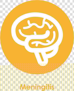 Transparent False Stamp Png   Filmarray Test Meningitic Panel  Png Download