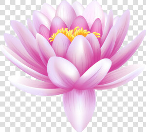 Download Water Lily Png Photos  Transparent Png