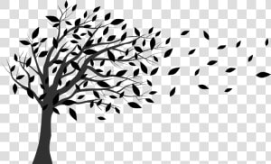 Tree In The Wind Blowing   Tree Blowing In The Wind Silhouette  HD Png Download