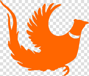 Pheasant  HD Png Download