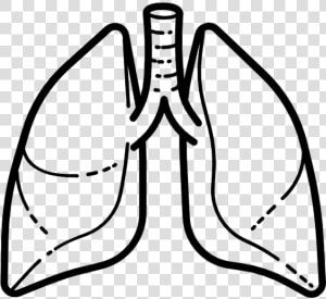 Lung Icon Vector Png  Transparent Png