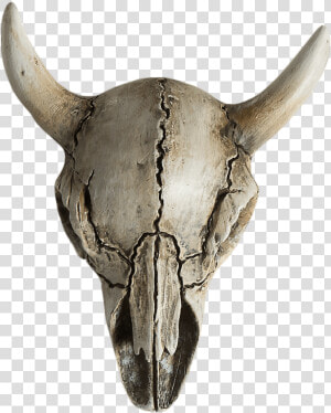 Cow Skull Horror Ornament   Horror Head Png  Transparent Png