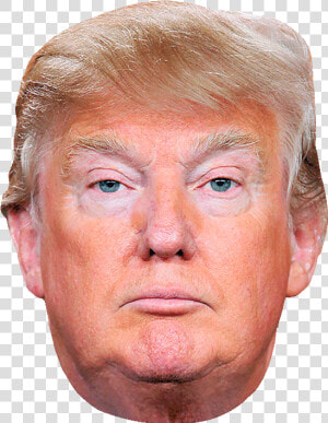 Donald Trump Rapist  HD Png Download