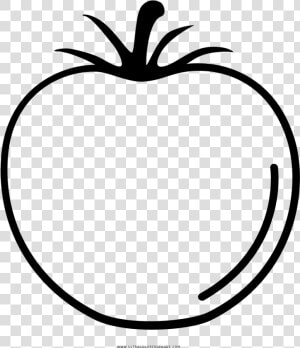 Coloring Pages Larsonporscheaudiblog Important Tomato   Desenhos De Um Tomates  HD Png Download