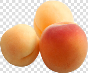 Apricots Png  Transparent Png