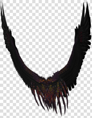 Wing  Angel  Fly  Gold  Black  Png  Isolated  3d   Portable Network Graphics  Transparent Png