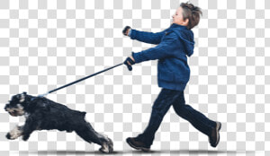Transparent People Walking Dog Png   Companion Dog  Png Download