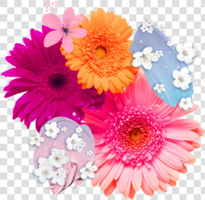 Flower  Overlay  And Png Image   Gerberas Png  Transparent Png