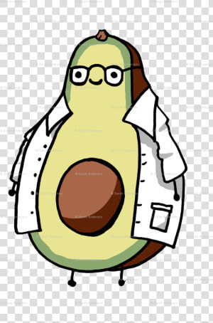 Transparent Avocado Clipart   Constant Clipart  HD Png Download