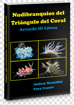 Nudibranchi Libri  HD Png Download
