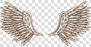  goldwings  goldangel  angelwings  wingsoverlay  overlay   Eagle  HD Png Download