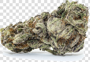 Nug Png  Transparent Png