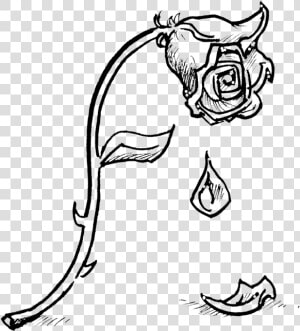 Draw La Belle Et La Bete  HD Png Download