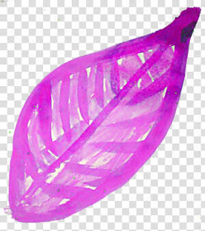 Transparent Vector Leaves Png   Fall Leaves Png Pink  Png Download